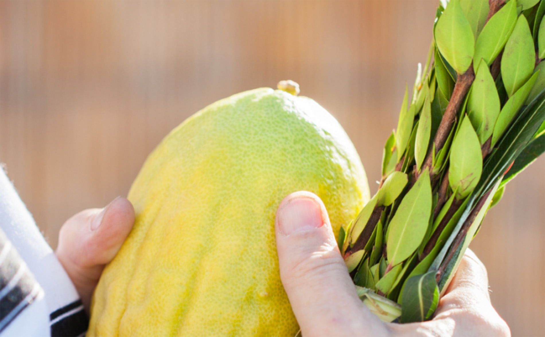 Sukkot Jewish Voice