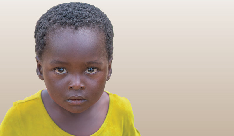 shalom partner image