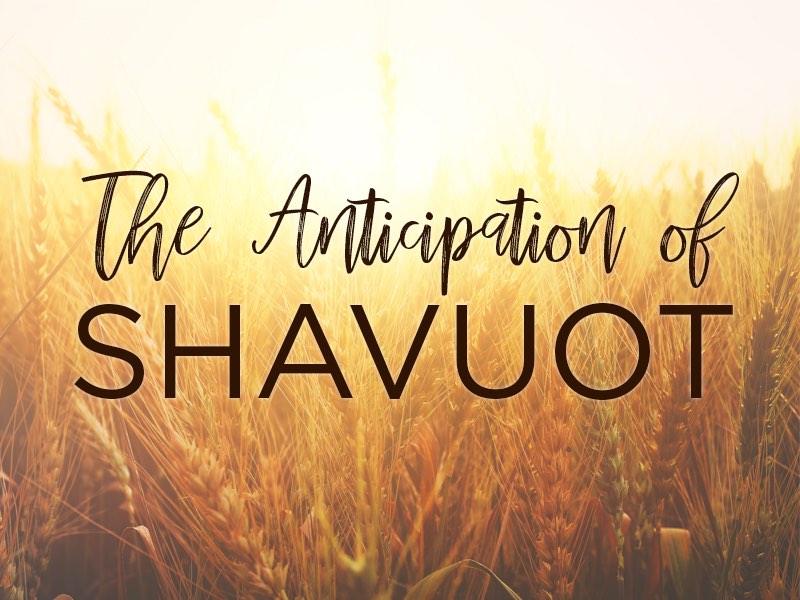 The Anticipation of Shavuot