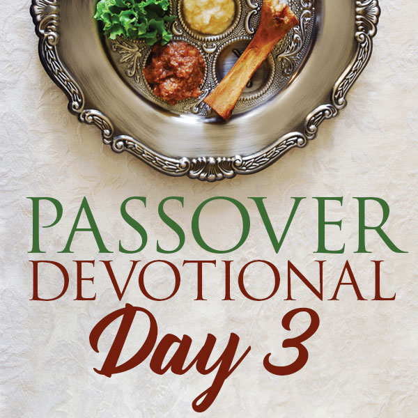 Passover Devotional 3