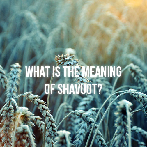 Shavuout
