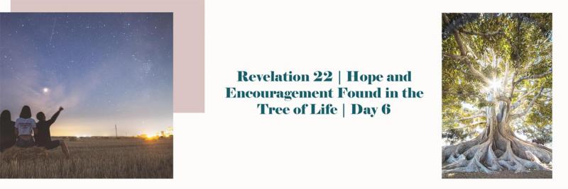 Revelation 22 - Hope and Encouragement found in the Tree of Life | Day 6 