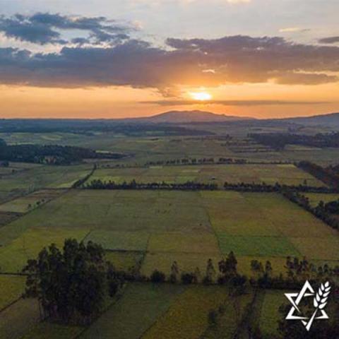 Prayers for the Dawro people in Ethiopia 2020