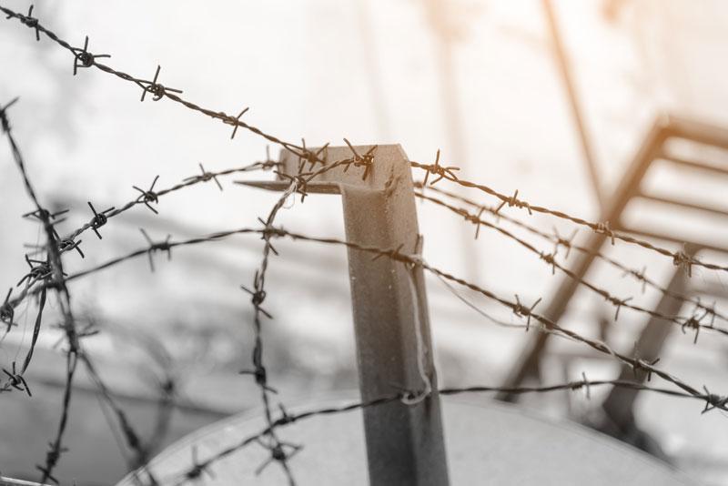 Barbed wire