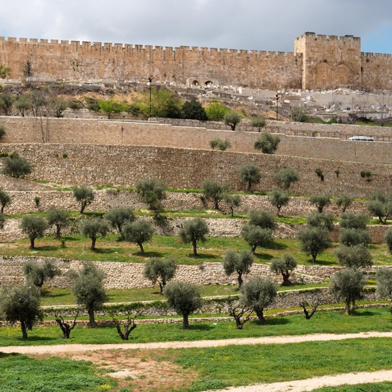 Yeshua and Bible Prophecy  Jewish Voice Ministries International